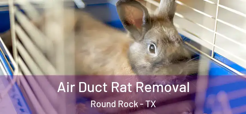  Air Duct Rat Removal Round Rock - TX