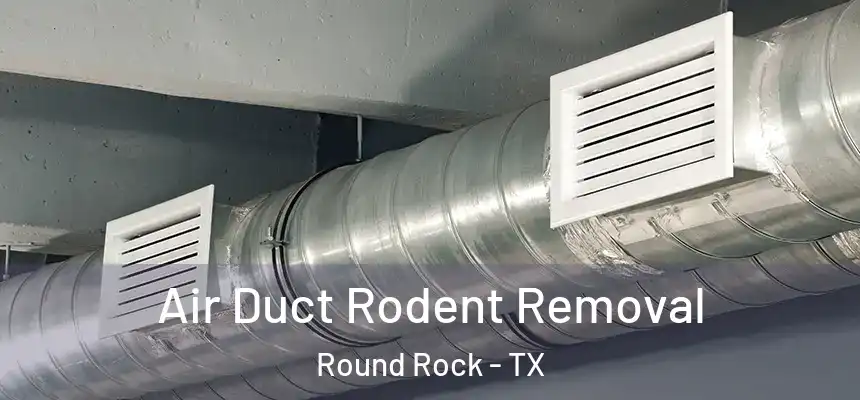 Air Duct Rodent Removal Round Rock - TX