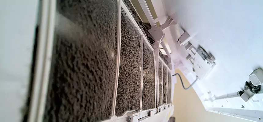 Preventive Air Duct Bacteria Removal in Round Rock