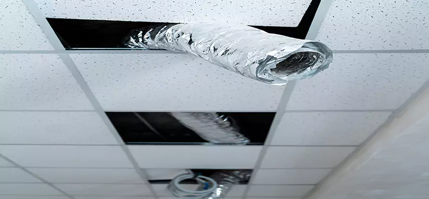 Our Air Duct Pet Hair Removal Services in Round Rock, TX