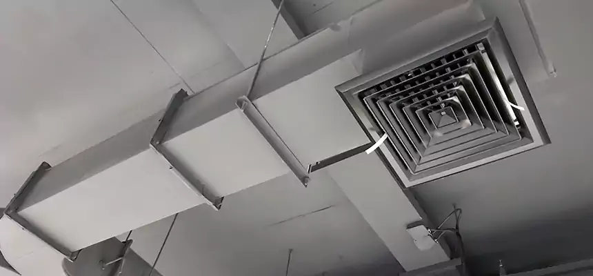 Restorative Allergy Relief Vent Cleaning – Coil, Blower & Housing Detail in Round Rock