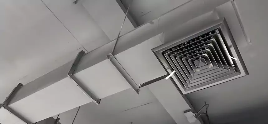 Our Rodent Droppings In Vents Services in Round Rock, TX