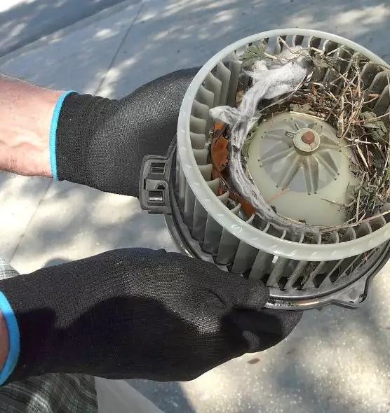 About Air Duct Mice Removal in Round Rock, TX