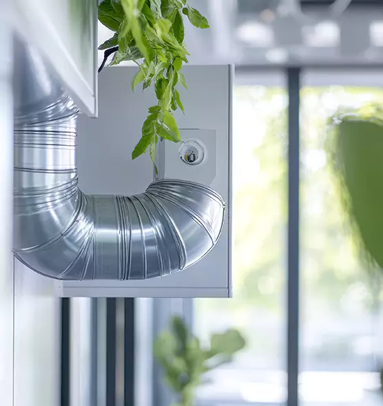 Professional Eco-Friendly Duct Cleaning Services in Round Rock, TX