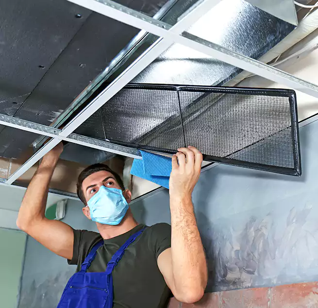 Why Homeowners Businesses Trust Us in Round Rock, TX