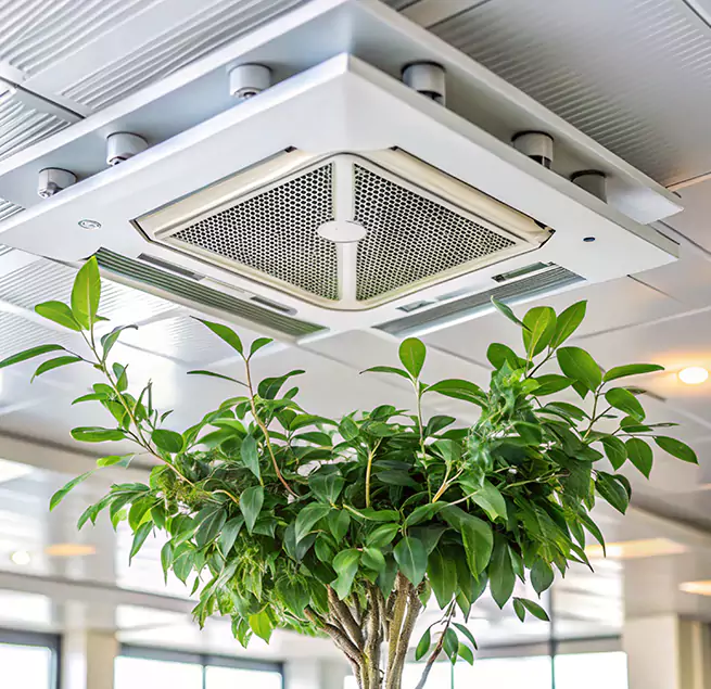 Why Homeowners & Businesses Trust Us in Round Rock, TX?