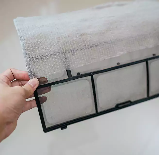 Why Homeowners & Businesses Trust Us in Round Rock, TX?