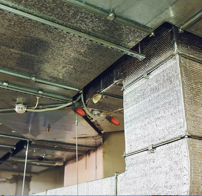 Why Homeowners & Businesses Trust Us Round Rock, TX?