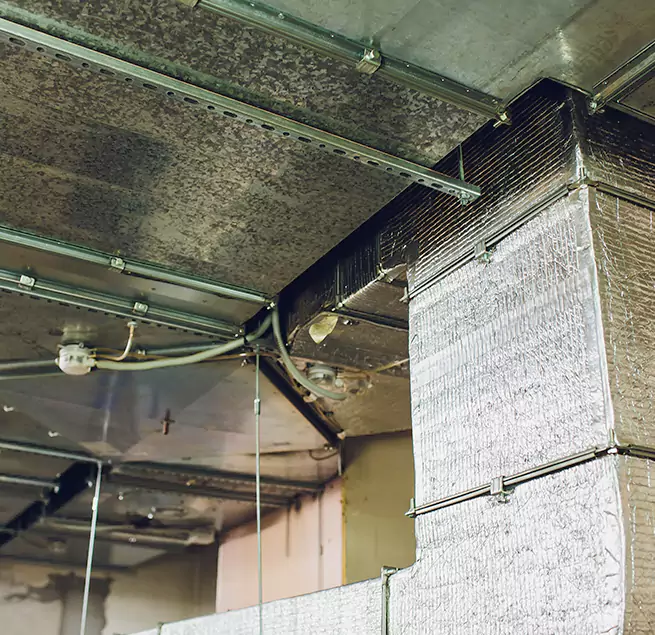 Why Homeowners & Businesses Trust Us in Round Rock, TX?